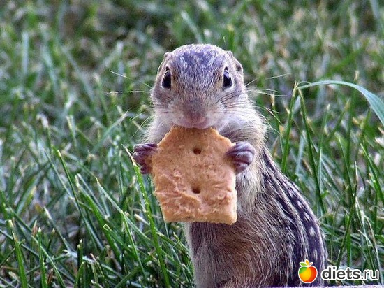 вкусно, альбом: позитив