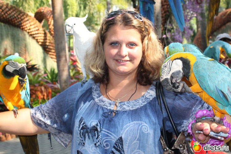 3 ����: � ������