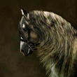 Андалузская лошадь - испанская легенда.