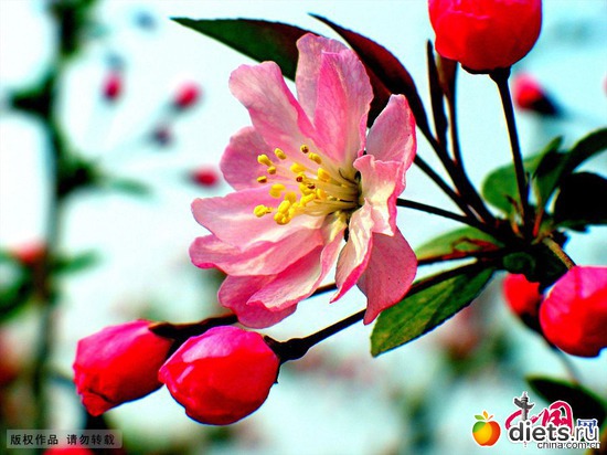 2 ����: ����� ���� - ������� � ������