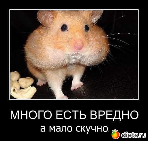 ����� �����!!!