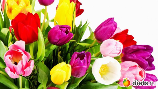 6 ����: ����� ���� - ������� � ������