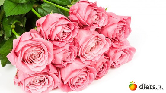 7 ����: ����� ���� - ������� � ������