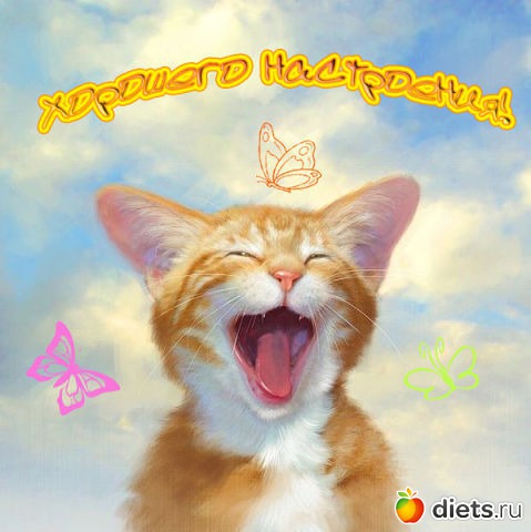 ����� �����!!!