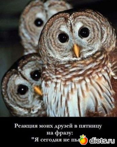 ����� �����!!!