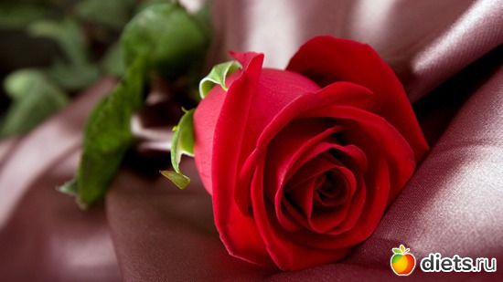 10 ����: ����� ���� - ������� � ������