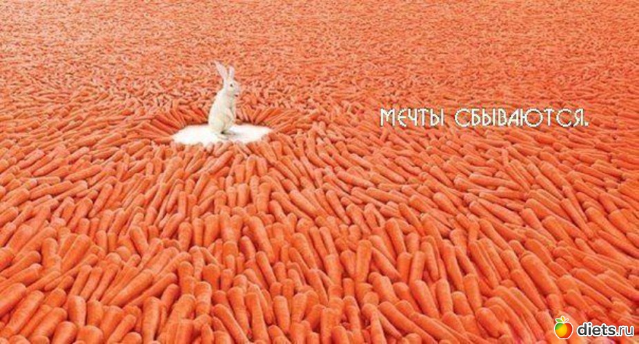 73 ����: ����� �����!!!