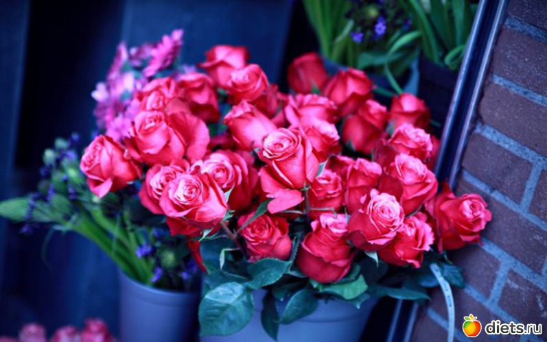 12 ����: ����� ���� - ������� � ������