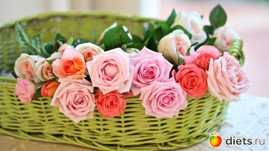 13 ����: ����� ���� - ������� � ������