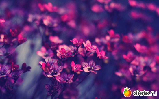 16 ����: ����� ���� - ������� � ������