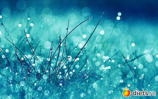 17 ����: ����� ���� - ������� � ������