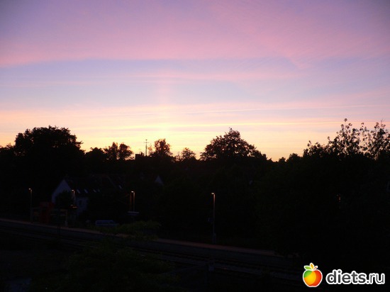 1 ����: � ������