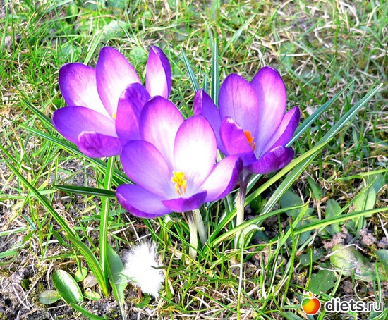 2 ����: � ������