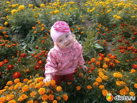 14 ����: ��� �����