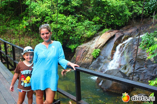 5 ����: � ������