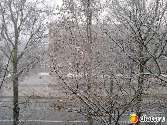 4 фото: Весна