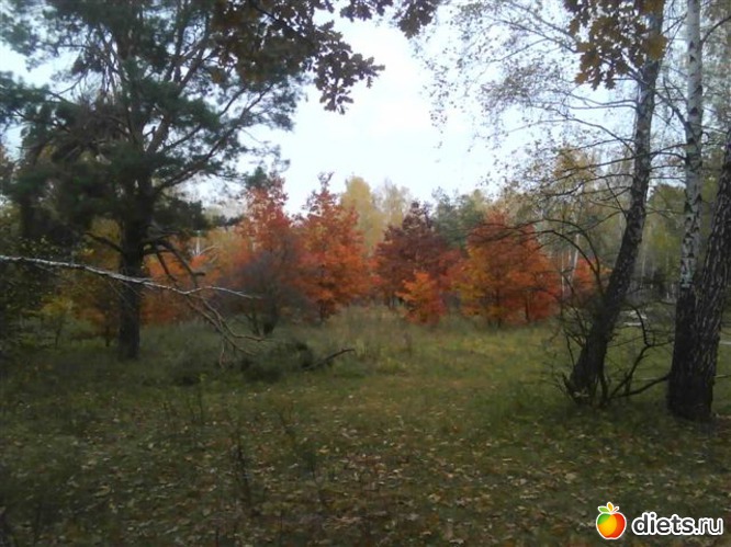 1 ����: ���