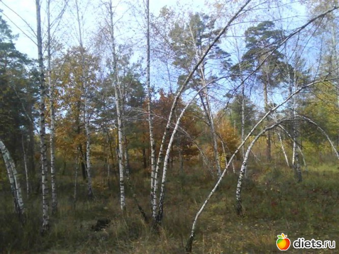 6 ����: ���