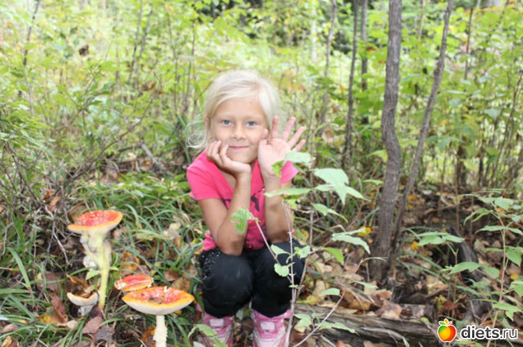 �� �����, ������: �����