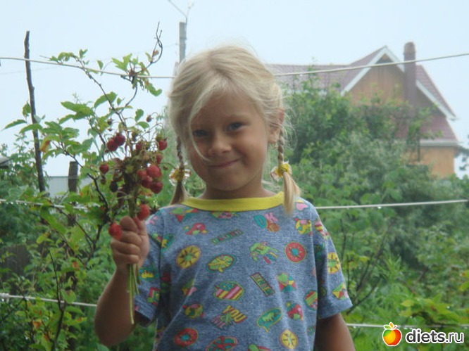 ������ ���������, ������: �����