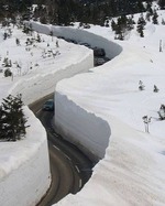 ��� 49 ���� �������...