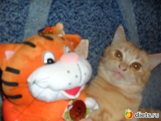 6 ����: ��� �������. ����-������.