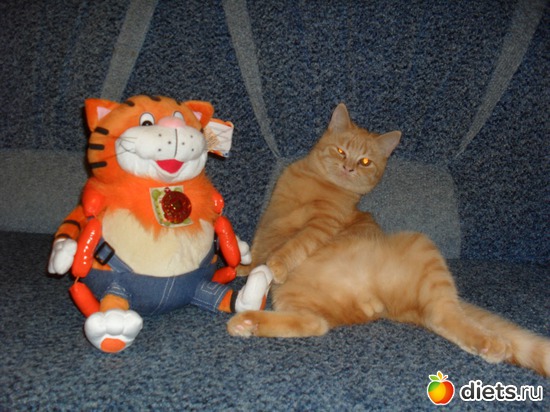 7 ����: ��� �������. ����-������.