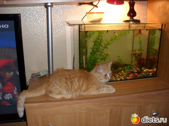 10 ����: ��� �������. ����-������.