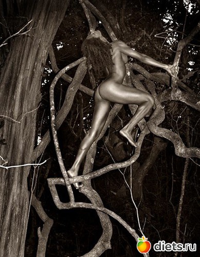 14 ����: ���������