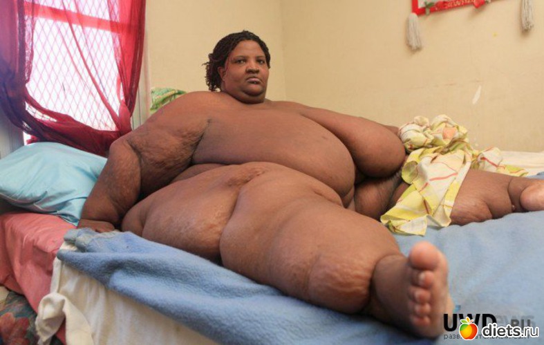 15 ����: ���������