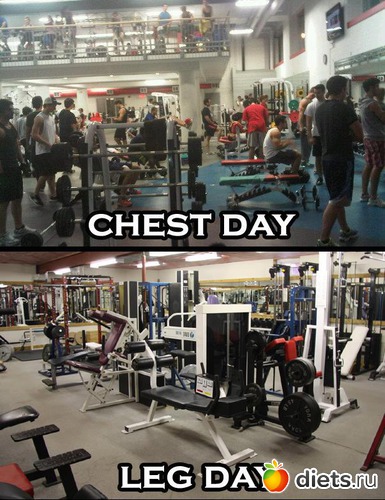 14 ����: ����� �����