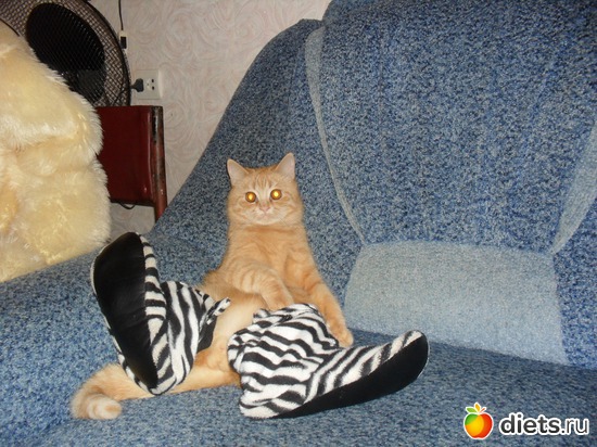 15 ����: ��� �������. ����-������.