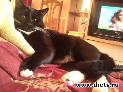 наглая морда)))