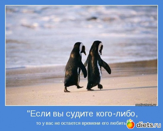 40 ����: �����