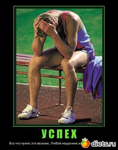 43 ����: �����