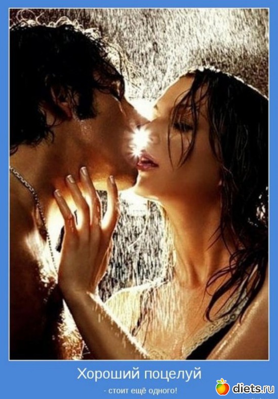 44 ����: �����