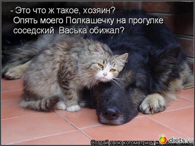 39 ����: ��������