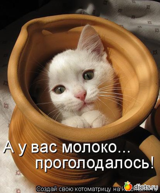 40 ����: ��������