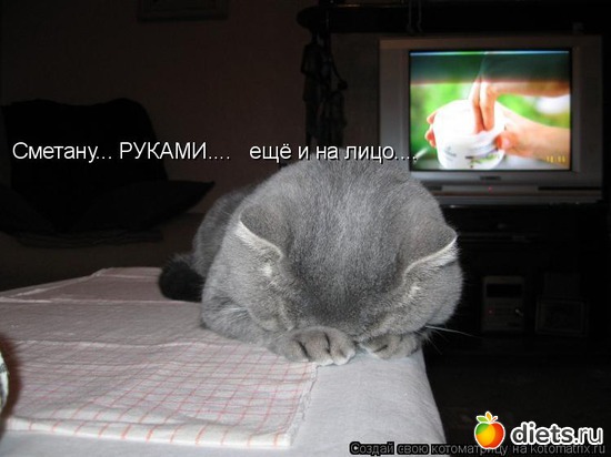 41 ����: ��������