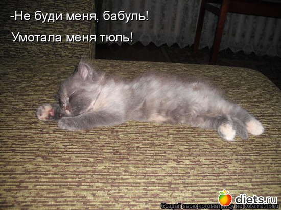 42 ����: ��������