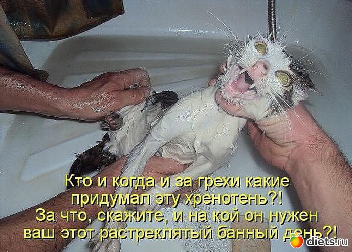 65 ����: ��������