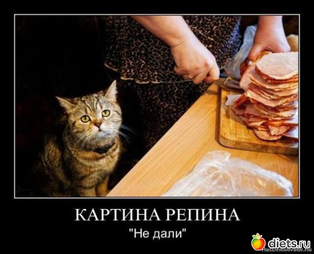 66 ����: ��������