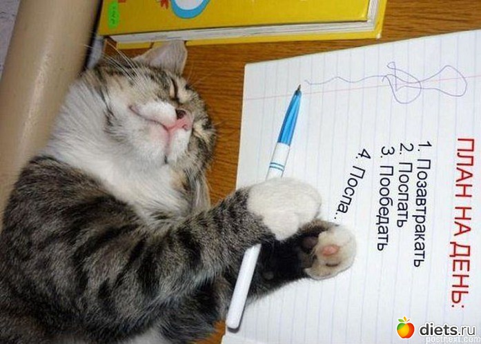 68 ����: ��������