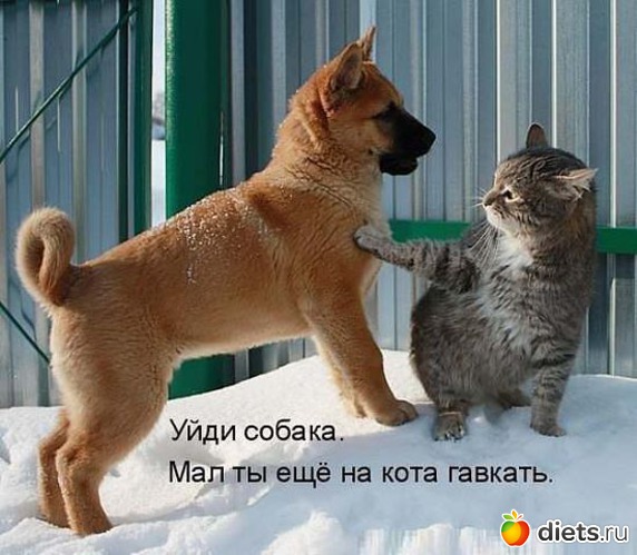 69 ����: ��������