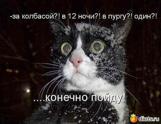 70 ����: ��������