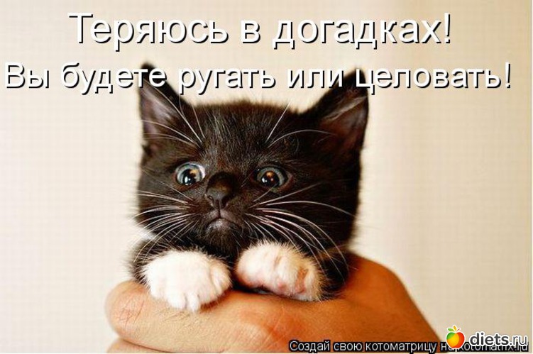 43 ����: ��������