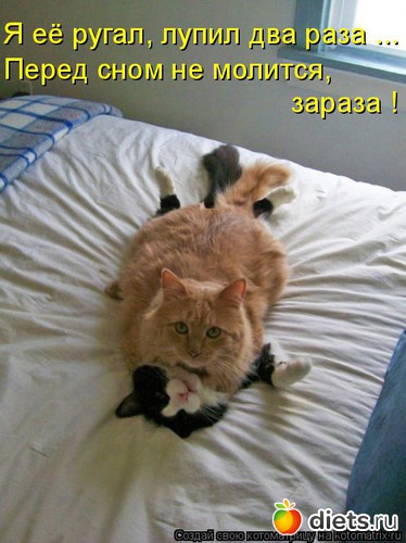 44 ����: ��������