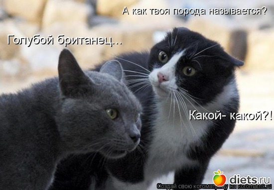 45 ����: ��������