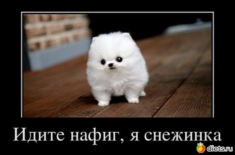 48 ����: ��������