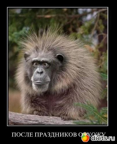 49 ����: ��������